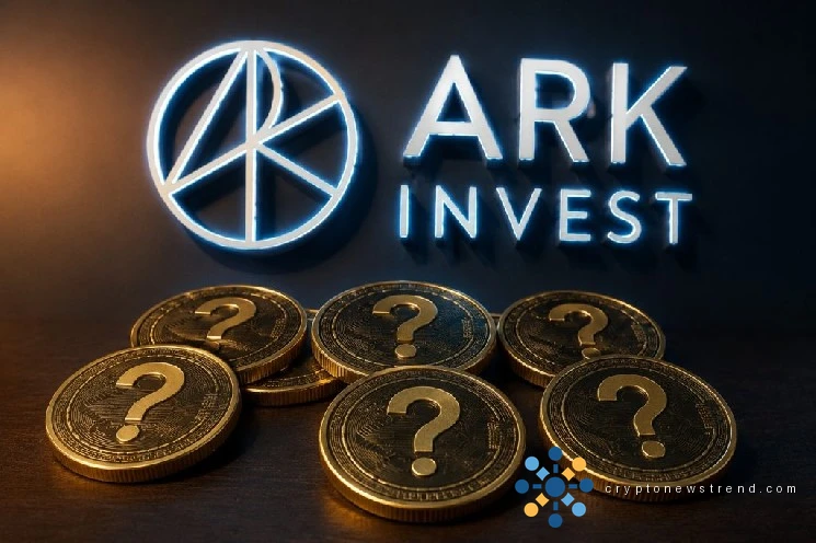 Hidden Gems in Cryptocurrency: Top Executive Shares Sleepers with Enormous Upside Potential