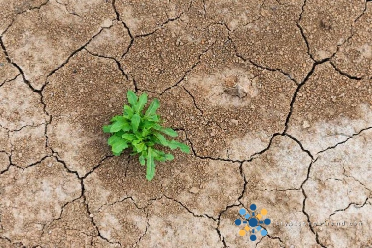 Cryptocurrency's current turmoil serves as a resilience gauge, rather than a fatal blow.