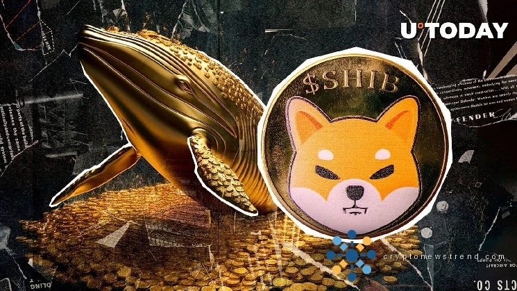 Shiba Inu Ecosystem Sees Significant Growth as Investor Base Swells by 24,000 Despite Market Volatility