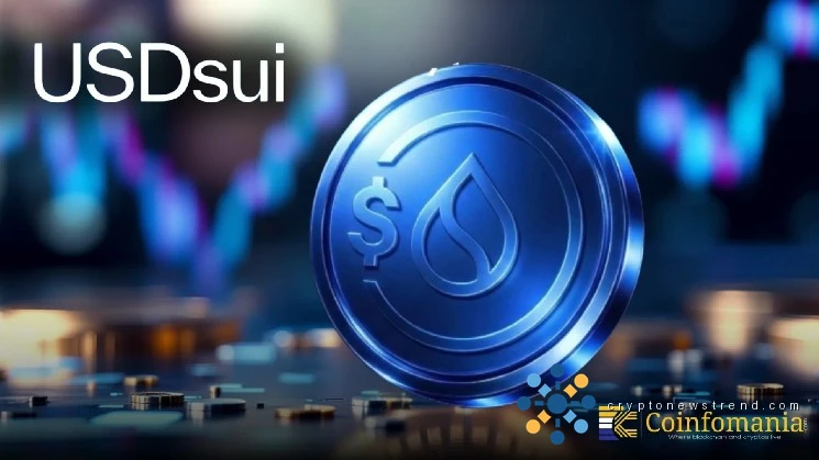 Why Is USDsui Bringing Gasless Payments To Sui So Fast?