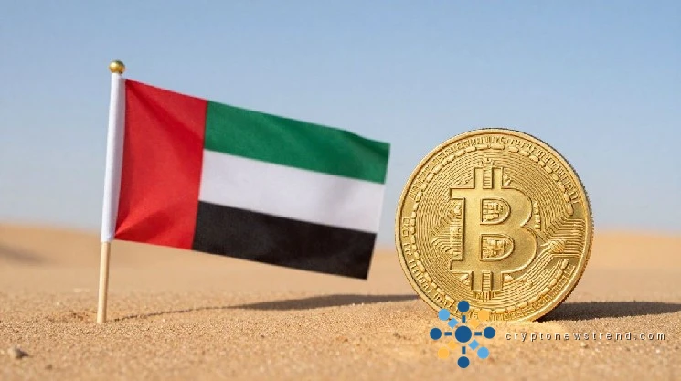 Bitcoin Stability Tested: BTC Holds $80,500 After UAE-Iran Conflict Escalation