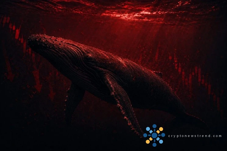 Warning: Whales Have Exited an Altcoin, Causing Retail Investors’ Investments to Plunge