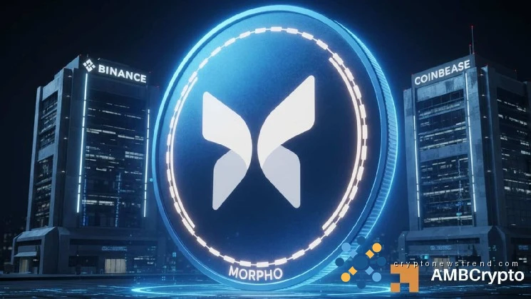 MORPHO seed investor sells $1.5 mln – Why price isn’t collapsing yet
