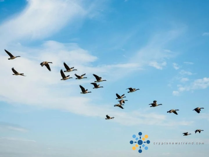 The $700 million migration: Why Solv Protocol is ditching LayerZero for Chainlink