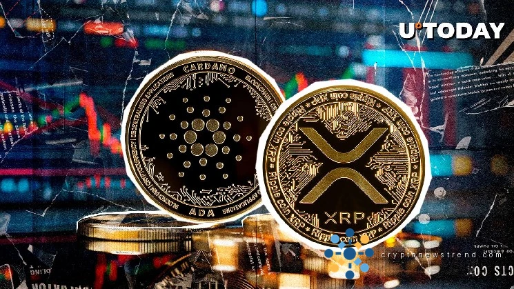 XRP and ADA Get Boost From CME