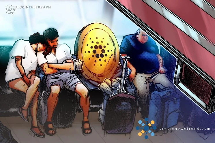 Cardano’s TapTools to wind down after 5 execs exit