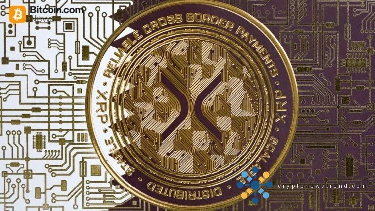 XRP Ledger Activity Jumps as Price Tests $1.55, Large Wallets Set Record