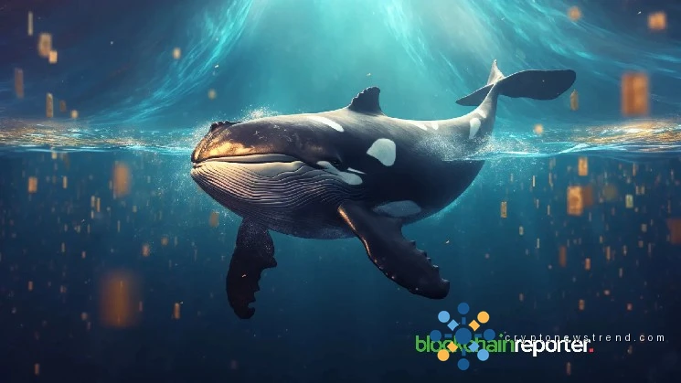 Los principales jugadores acumulan silenciosamente tokens Chainlink, retirando casi $5 millones de los principales intercambios.