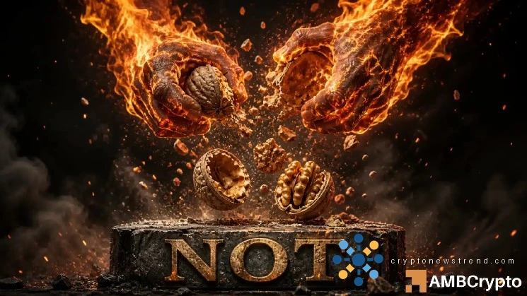 Notcoin breaks 89-day range – But THESE signals raise bull trap risks