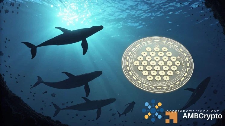 Cardano consolidates as whales accumulate 10 mln ADA: Is an upside coming?