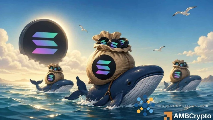 Surge in Investment Products and High-Net-Worth Interest Sparks Speculation of $97 Breach for SOL Token