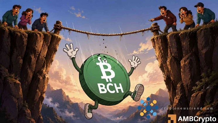Bitcoin Cash drops 12% as whales sell: Is BCH headed to $305?